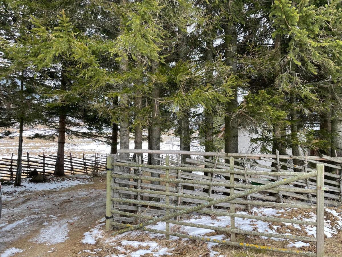 Teichalm Lodge Landhaus Fladnitz an der Teichalm Bagian luar foto